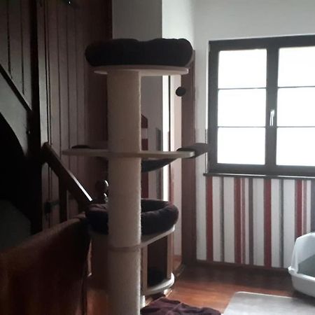 Private Room In Our Home With Free Vvo Ticket & Cats Пирна Екстериор снимка