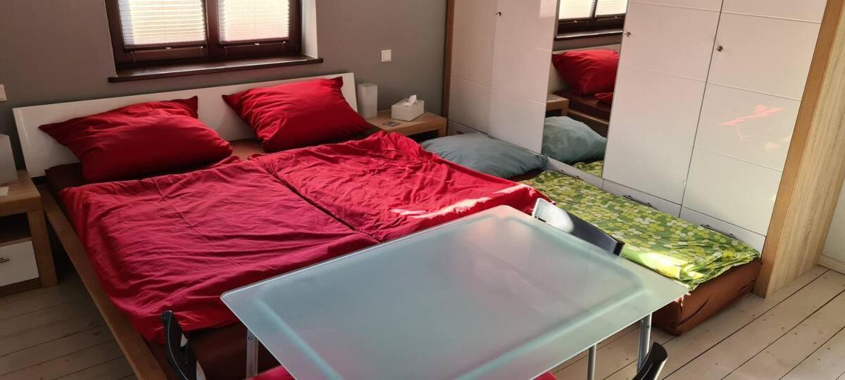 Private Room In Our Home With Free Vvo Ticket & Cats Пирна Екстериор снимка