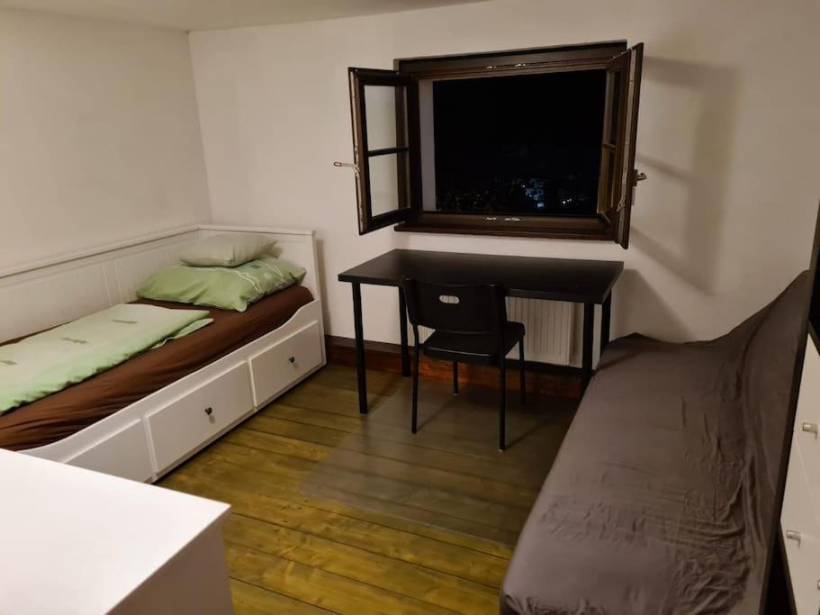 Private Room In Our Home With Free Vvo Ticket & Cats Пирна Екстериор снимка