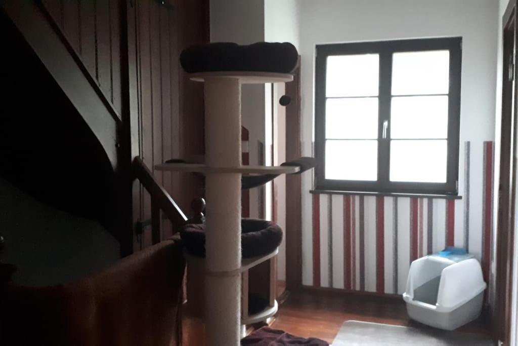 Private Room In Our Home With Free Vvo Ticket & Cats Пирна Екстериор снимка