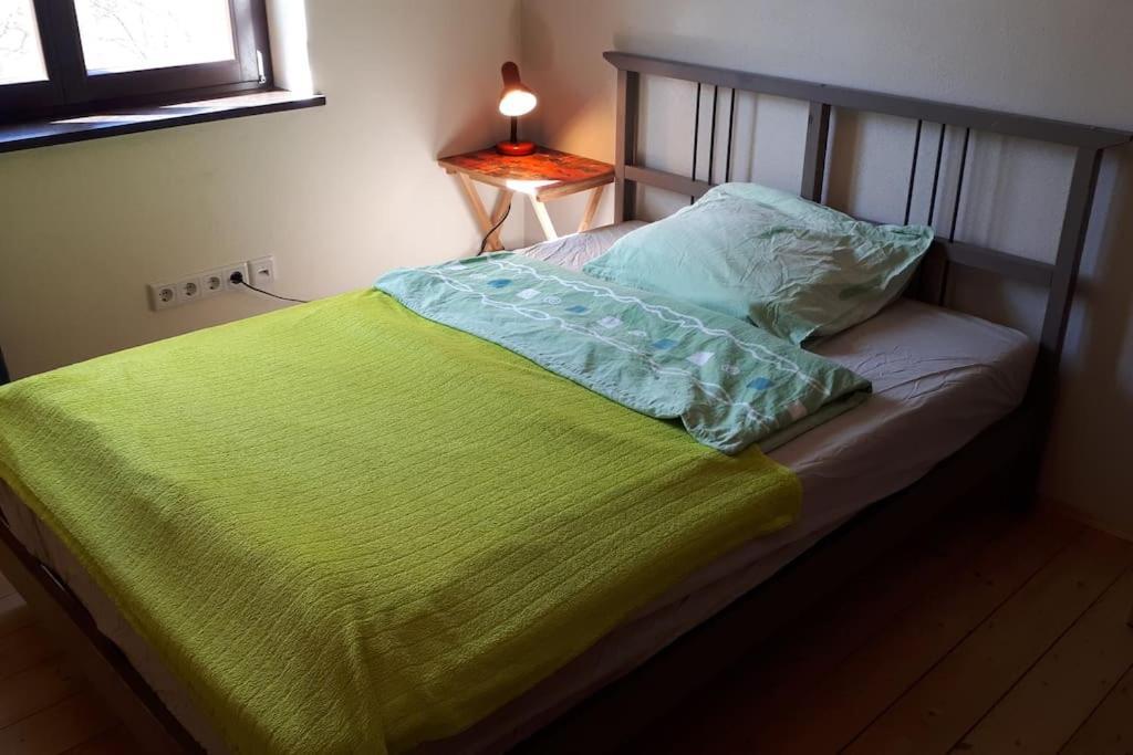 Private Room In Our Home With Free Vvo Ticket & Cats Пирна Екстериор снимка