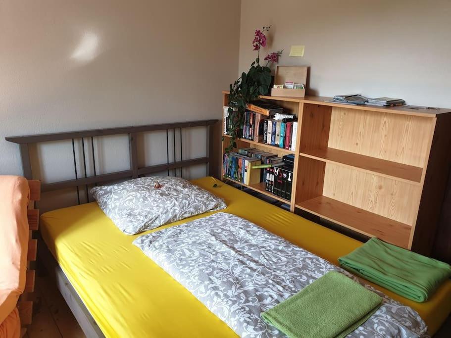 Private Room In Our Home With Free Vvo Ticket & Cats Пирна Екстериор снимка