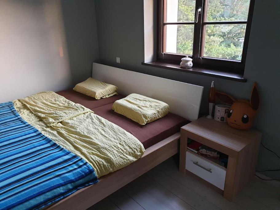 Private Room In Our Home With Free Vvo Ticket & Cats Пирна Екстериор снимка
