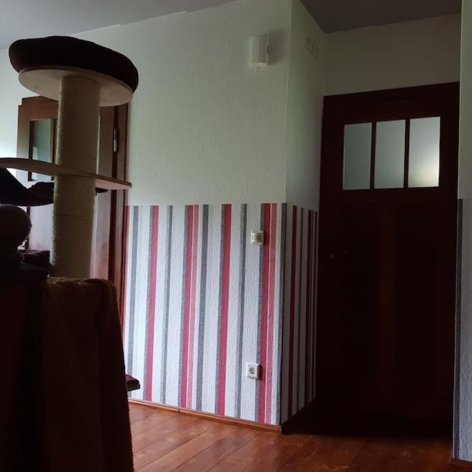 Private Room In Our Home With Free Vvo Ticket & Cats Пирна Екстериор снимка