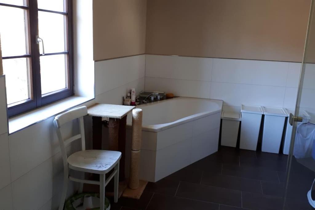Private Room In Our Home With Free Vvo Ticket & Cats Пирна Екстериор снимка