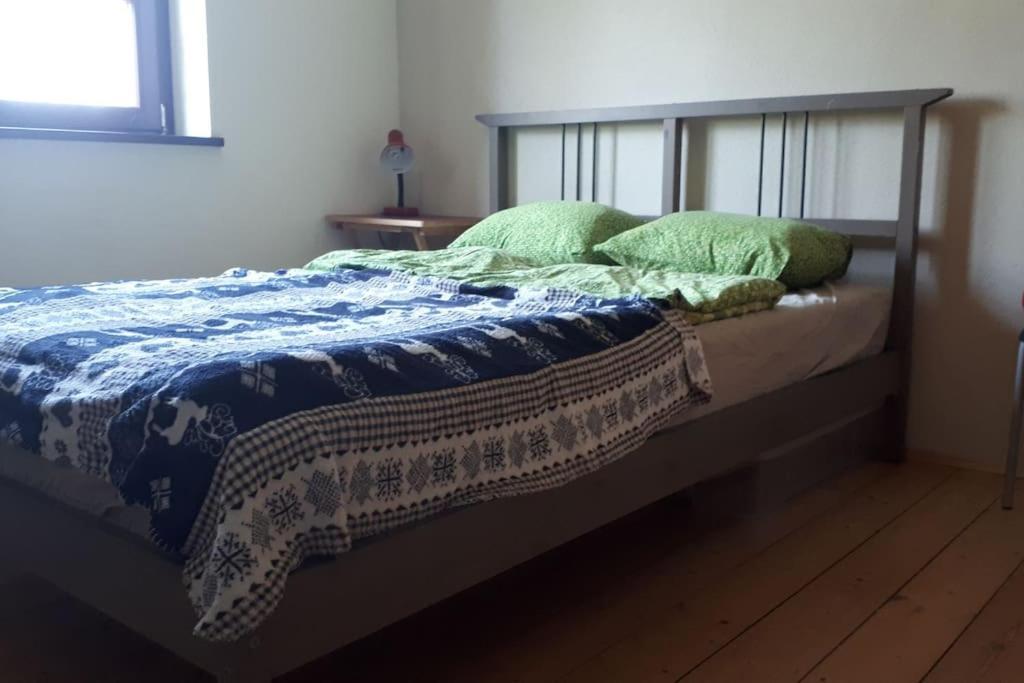 Private Room In Our Home With Free Vvo Ticket & Cats Пирна Екстериор снимка