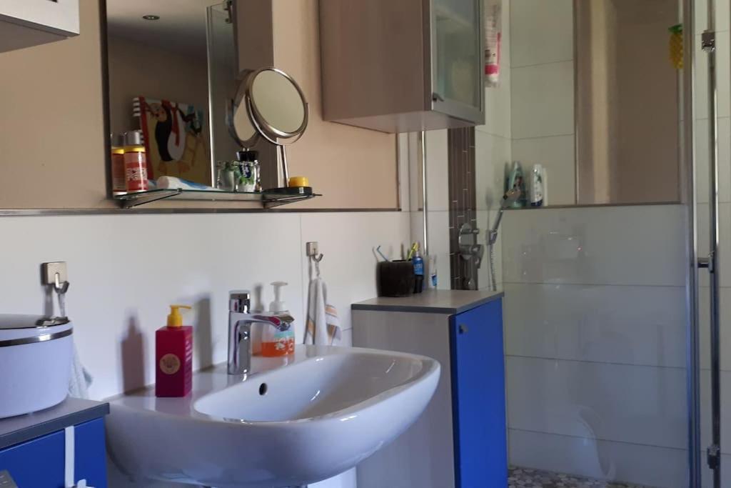 Private Room In Our Home With Free Vvo Ticket & Cats Пирна Екстериор снимка