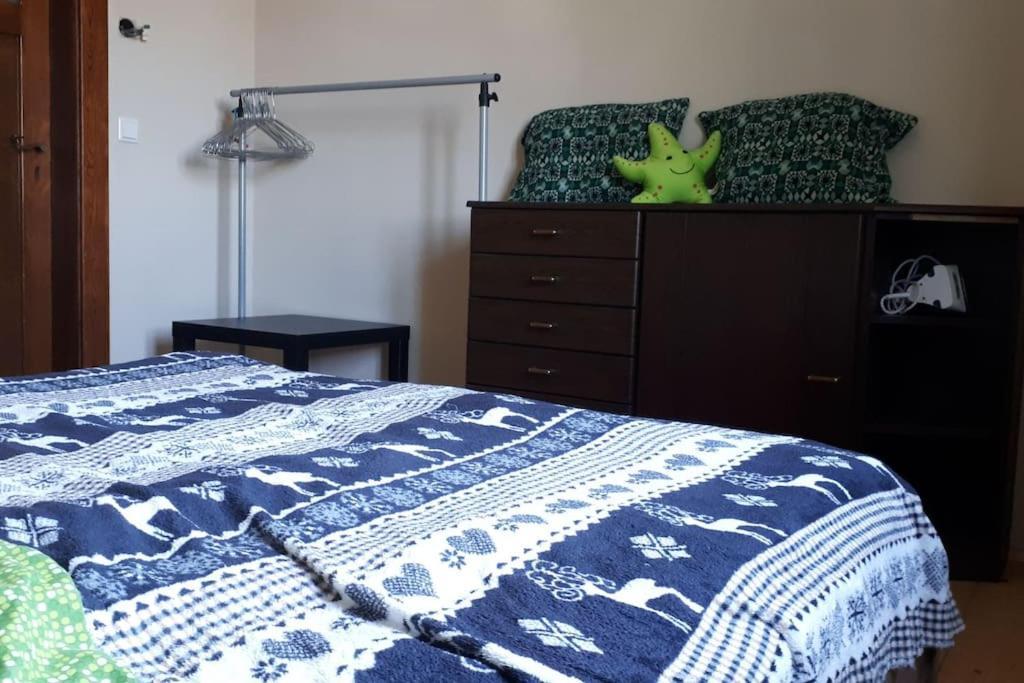 Private Room In Our Home With Free Vvo Ticket & Cats Пирна Екстериор снимка