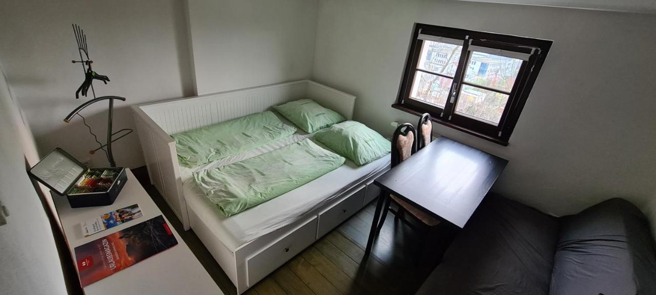 Private Room In Our Home With Free Vvo Ticket & Cats Пирна Екстериор снимка